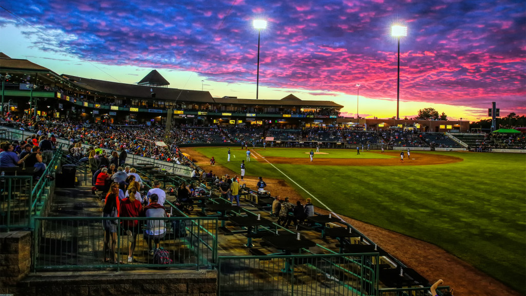 jersey shore blueclaws