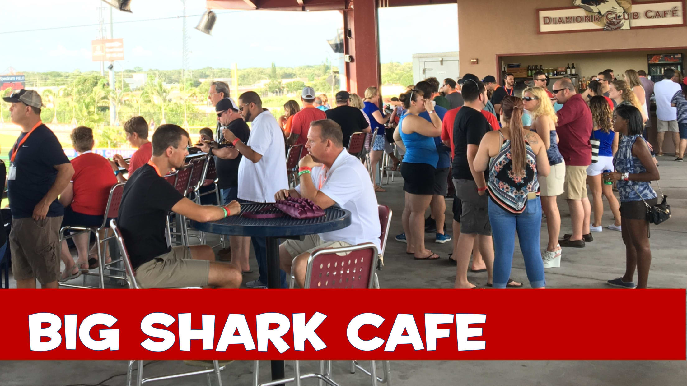 Featured Content - Big Shark