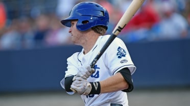 Asheville's Nevin robust in career game at plate