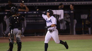 Anthony Volpe Names Southeast League Player of the Month
