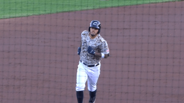 Arias crushes 12th homer for Columbus
