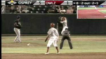 Owlz's Adams thumps RBI double