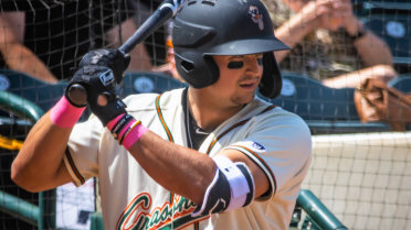 Late rally sinks Greensboro in series opener vs. Aberdeen