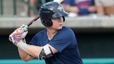 Rizzie leads Fireflies' rout with five-hit day