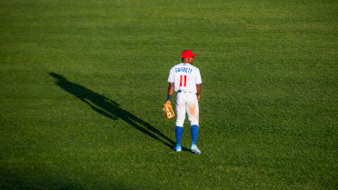 Garrett and Kennedy Homer, Sod Poodles Fall To Hooks 8-6