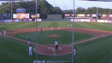 Bees' Fecteau rips RBI double