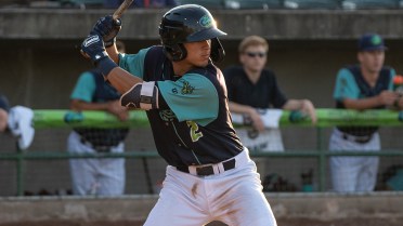 Freeman has big night in Hillcats' romp