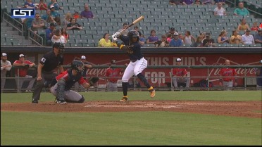 Baby Cakes' Harrison's big fly