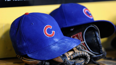 DSL Cubs, Twins right-handers suspended