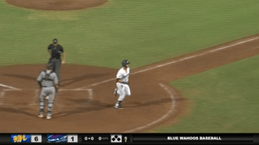 Blue Wahoos' Conine slugs 31st homer