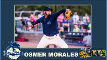 Osmer Morales promoted to Triple-A Salt Lake