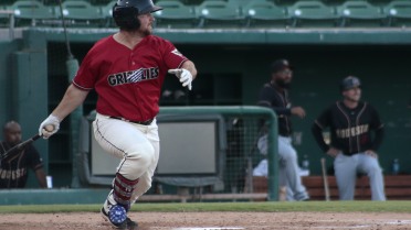 Grizzlies win streak cracked by Nuts 8-4