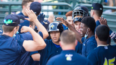 Fireflies Get Second Walk-Off Winner of 2022 in 10th