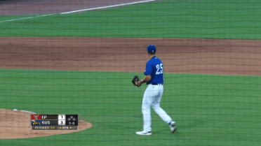 Skeeters' Brown fans seven batters in debut