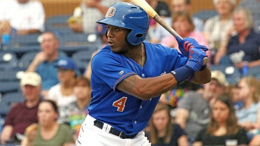 Bulls' Williams homers on four-hit night