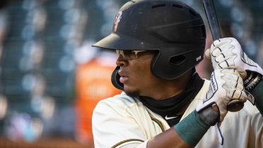 Fraizer hits 16th home run in Hoppers' loss