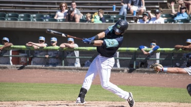 Hillcats Place Five On All-Star Team