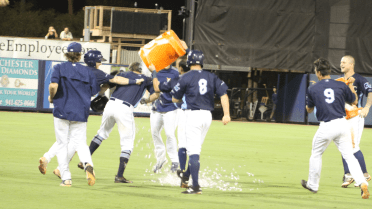 Stone Crabs walk off on Jays for second straight night