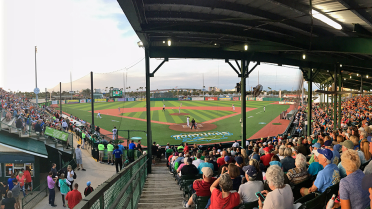 Tortugas fall, 5-1, in front of sellout crowd on Opening Night