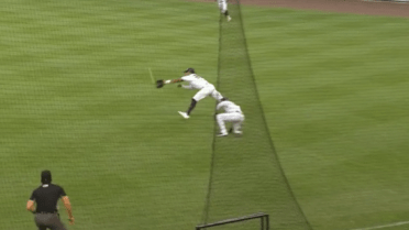 Gilliam's tumbling catch for Somerset