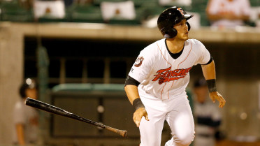 Grizzlies drop Father's Day matchup to Chihuahuas