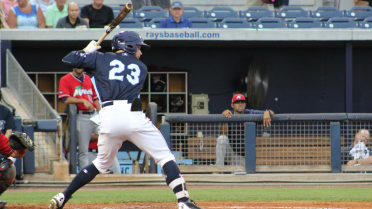 Stone Crabs drop finale to Jays 9-3