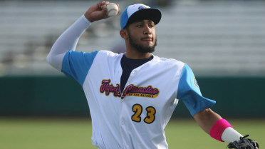 2019 Prospect Projections: NL West rookies