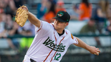 Benjamin's Gem Leads the Wood Ducks to Victory