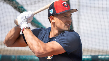 Twins Prospect Primer: Double barrels