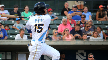 Steele, Pereda lead Pelicans to series win over Astros