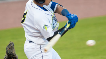 Fireflies Split Doubleheader to Guarantee Series Split
