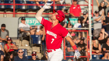 Palmegiani Powers Big Inning In C's Triumph