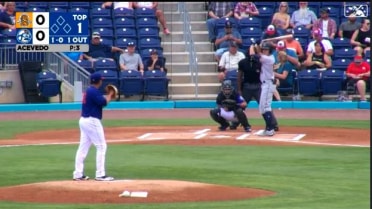 Charleston's Mead goes yard twice
