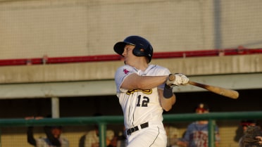 Zimmerman Drives Bees to Victory