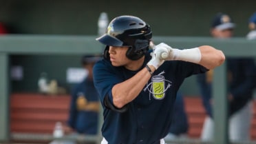 Fireflies Swept in Doubleheader at Charleston