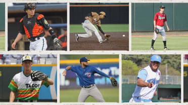 MiLB’s best of the decade: Defensive plays