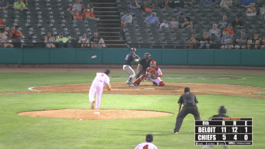 Snappers' Johnston hits for the cycle