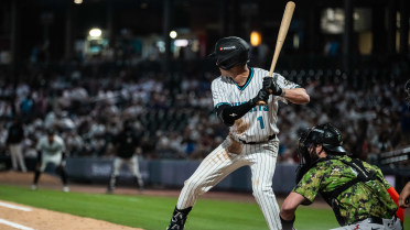 Streak Halted at Seven, Knights Fall to the Tides