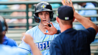 Round-Trippers Propel Fireflies to 4-1 Win