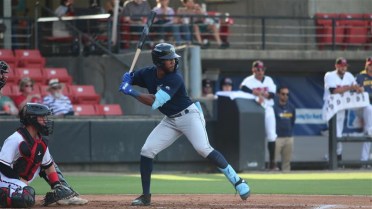 Late Rally Falls Short in 3-2 Loss