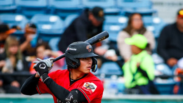 Sixth Inning Costs Grizzlies Despite Punchy Offense