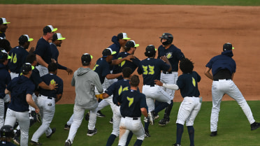 Doubleheader Sweep Vaults Fireflies to First