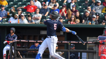 Fisher Cats flex muscles to take series finale 