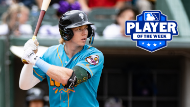 Nuts' Bolte named Midwest League Player of the Week