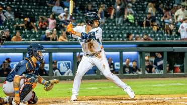 Eleven-Run Outburst In Game Two Helps Sugar Land Split Doubleheader