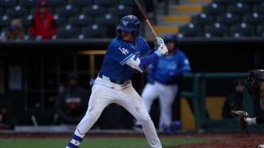 Comets Drop Series Finale to Chihuahuas