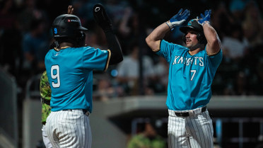 Fletcher's Highlight Reel Catch Sparks Knights in 7-1 Win