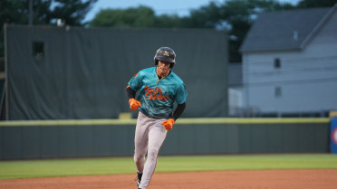 Oyster Catchers survive against Moon Mammoths in Saturday night win
