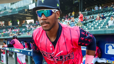 Five-Run Fifth Propels Fireflies to Victory