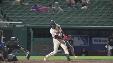 Fresno Bats Quieted by Modesto